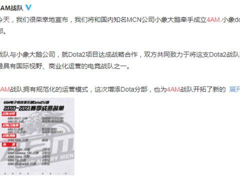 最新魔兽爆料新闻视频,全新版本内容大揭秘！